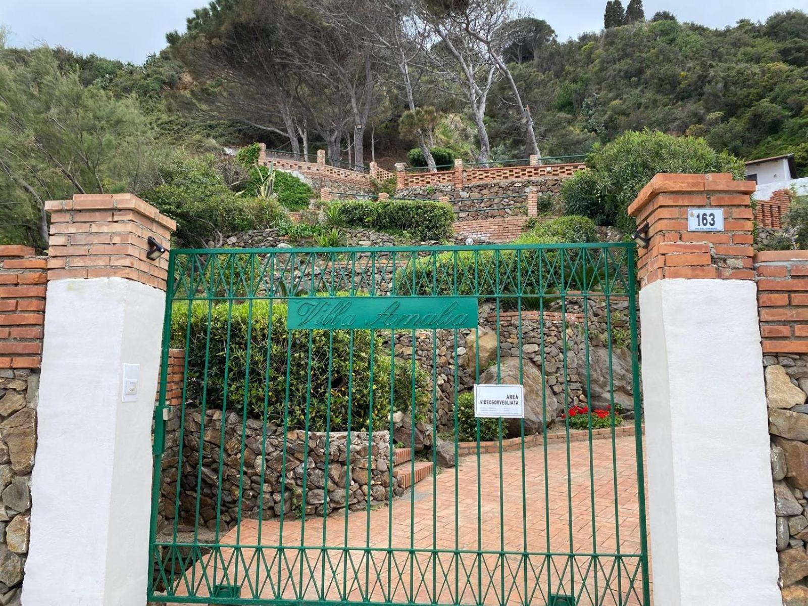 Villa Amalia Sul Mare Μεσίνα Εξωτερικό φωτογραφία
